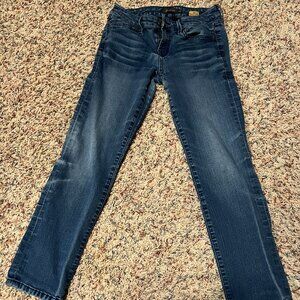 Level 99 Lily skinny straight Anthropologie jeans Size 27 petite